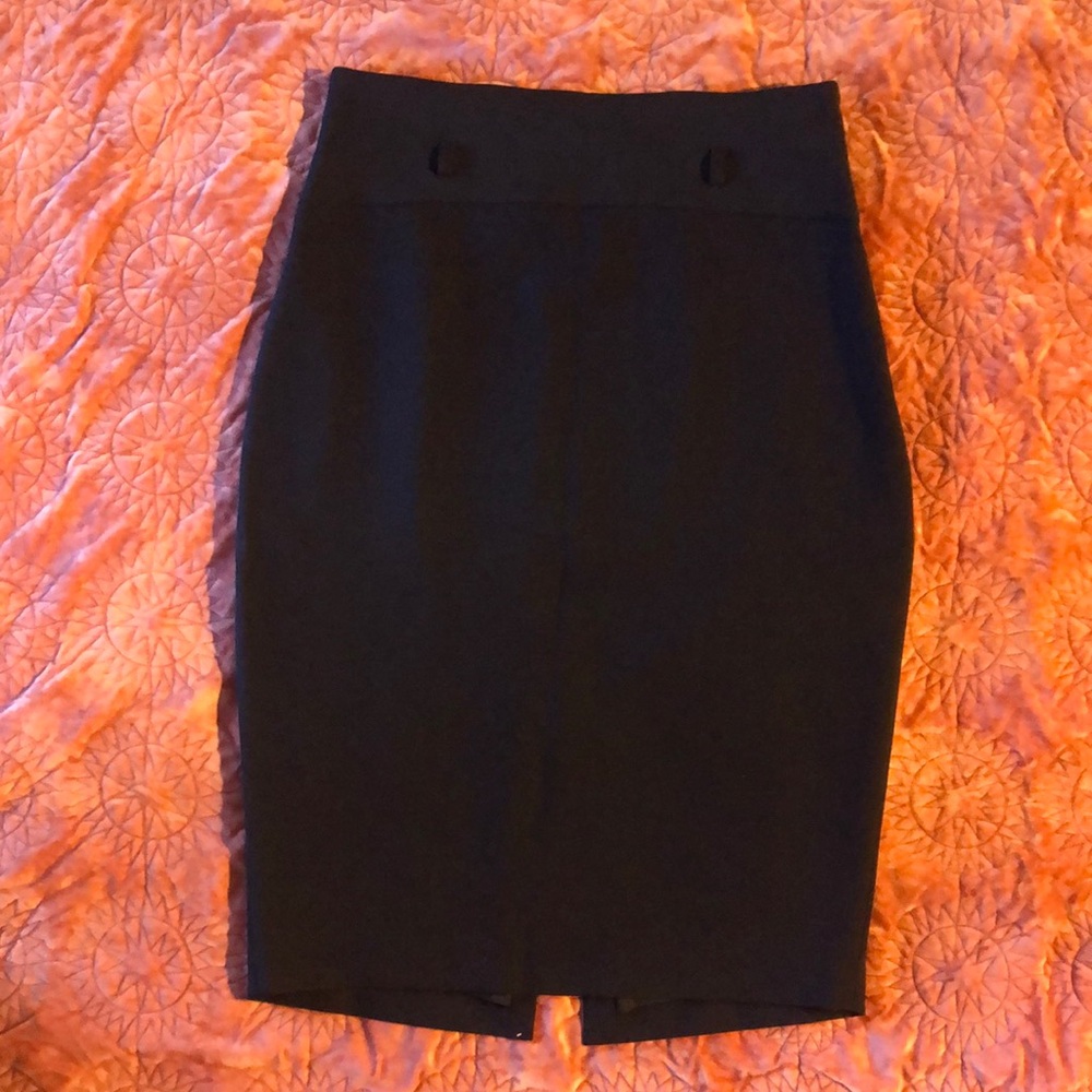 Express Pencil Skirt